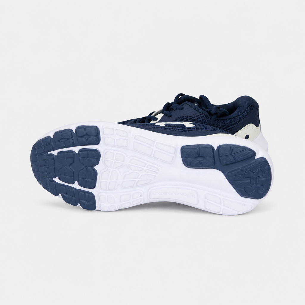 Under Armour Surge 3