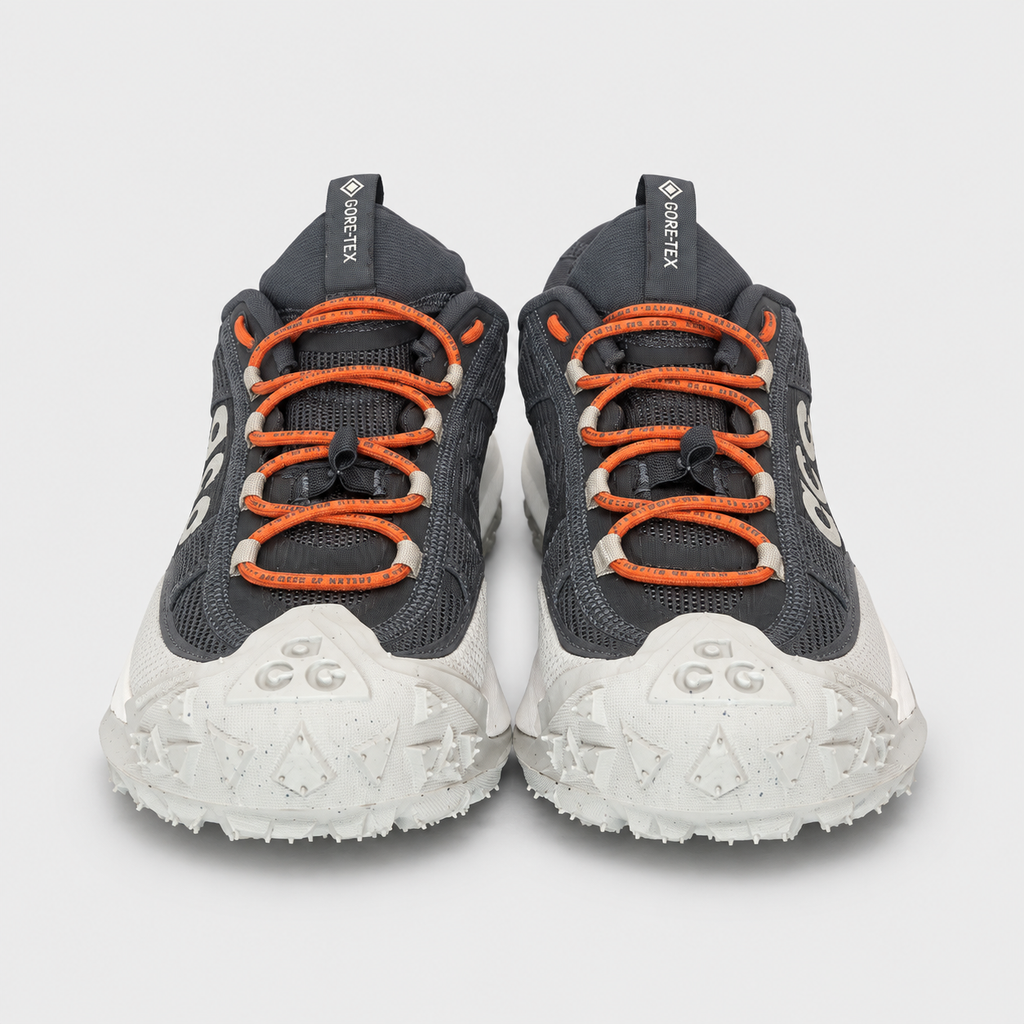 Nike Mountain Fly 2 Low