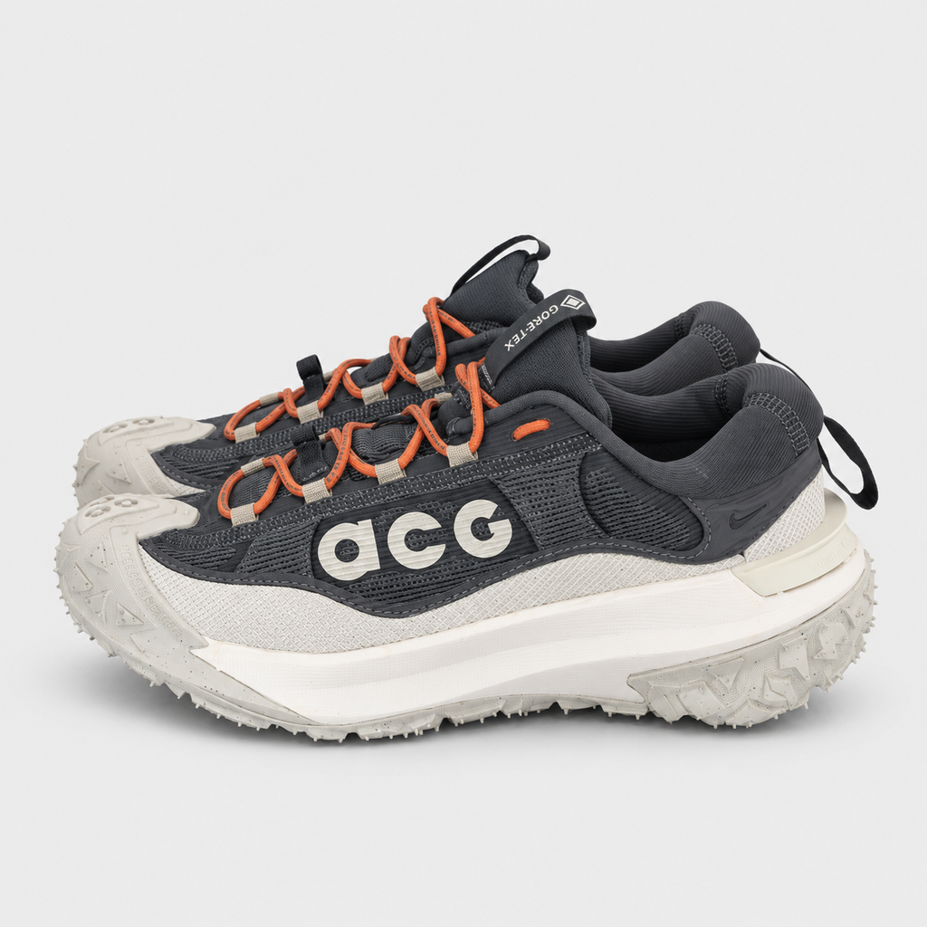 Nike Mountain Fly 2 Low