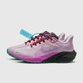 Nike Pegasus 41
