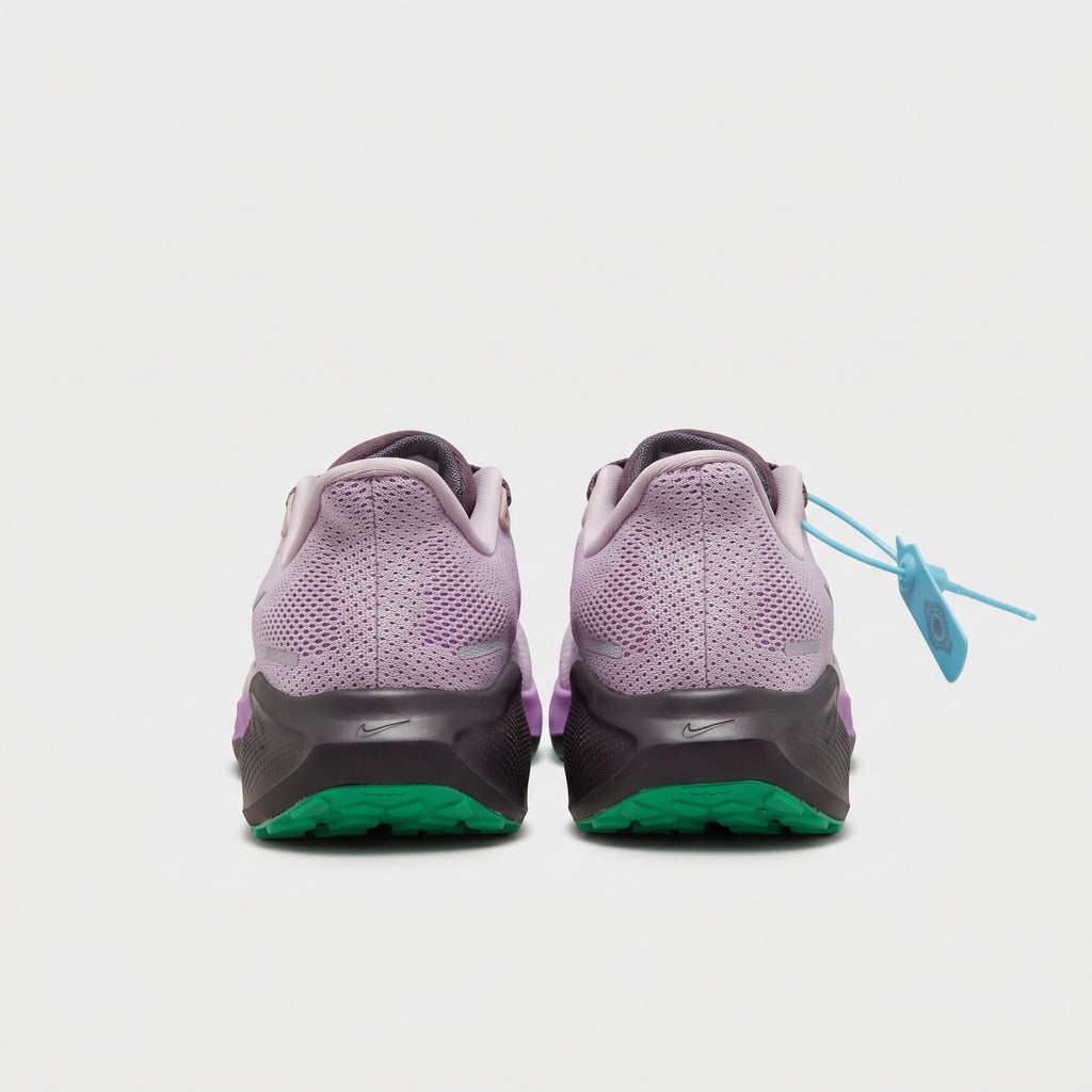 Nike Pegasus 41